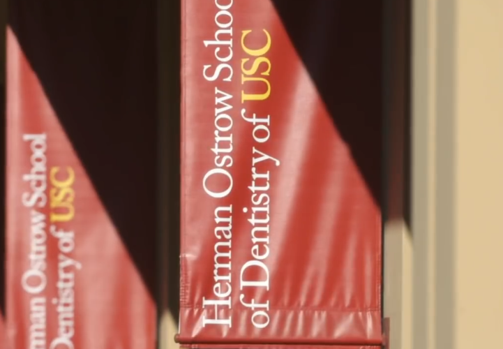 Dr. Furkiotis' School Flag